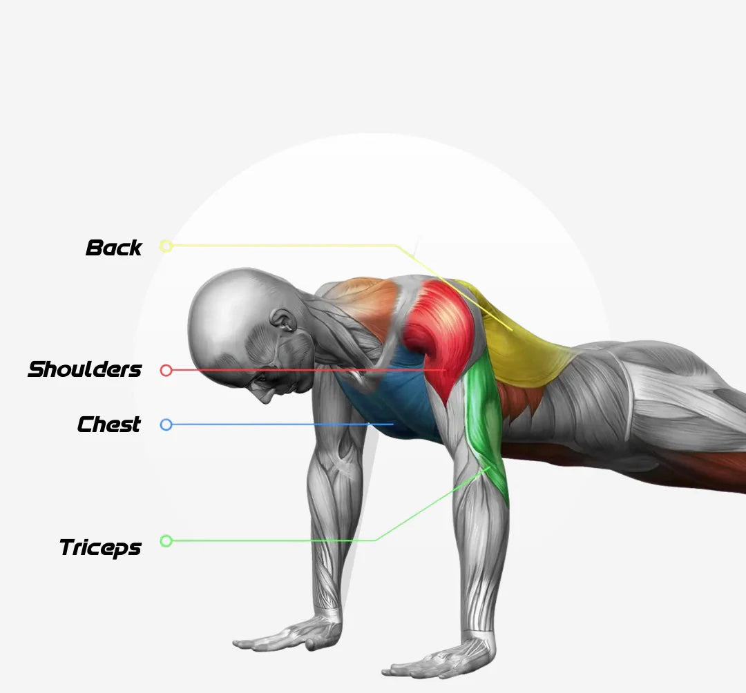 PushUp Board | The 14 in 1 Workout Guide
